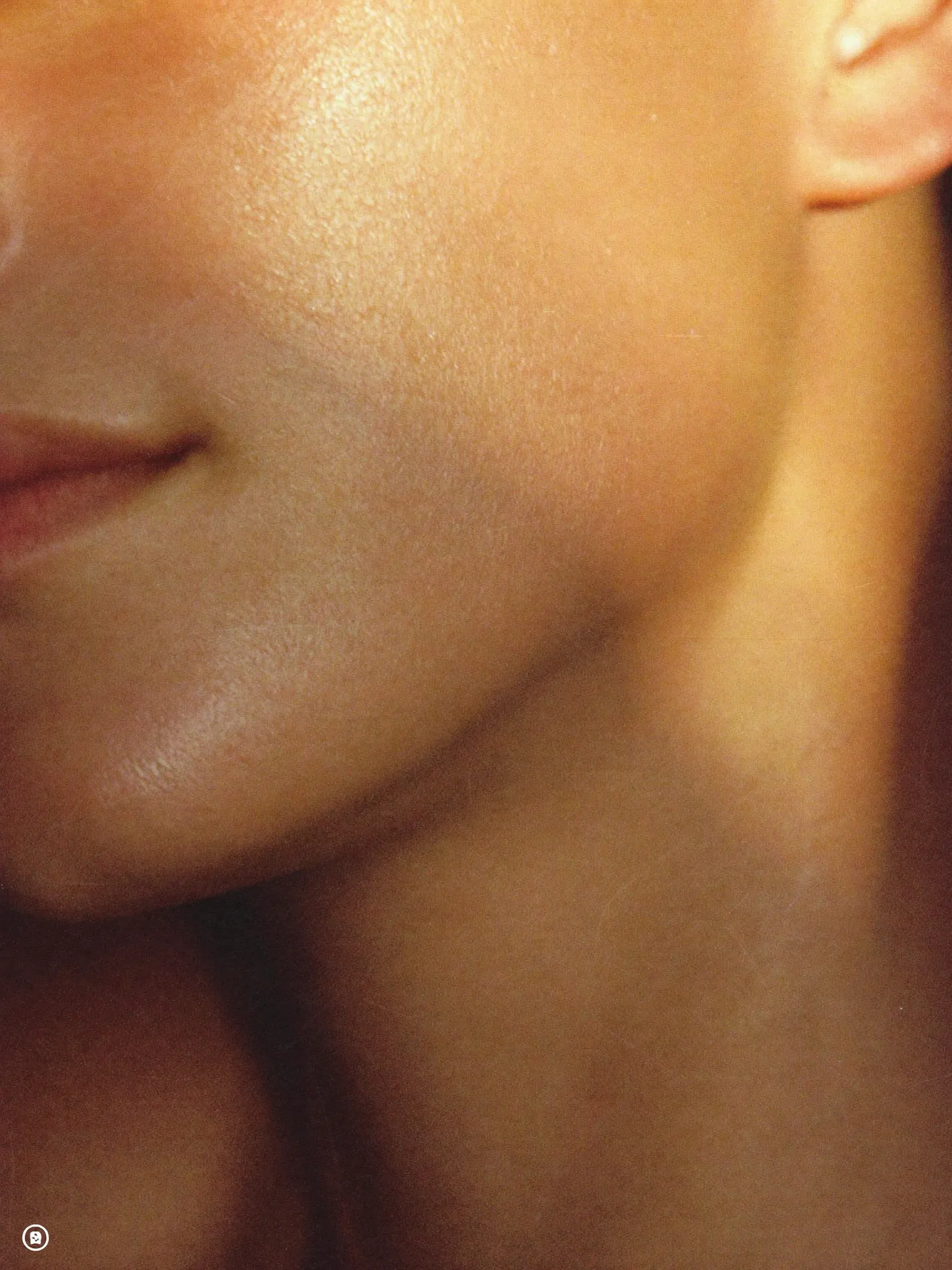 A sun-kissed cheek in golden light