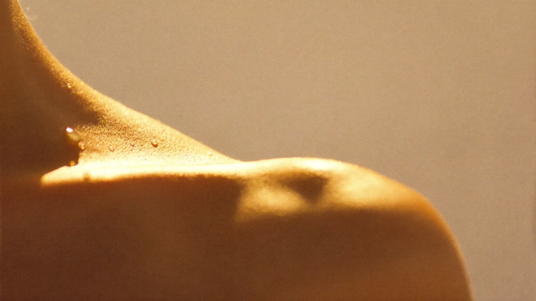 A luminous bronzed collarbone and shoulder in golden light